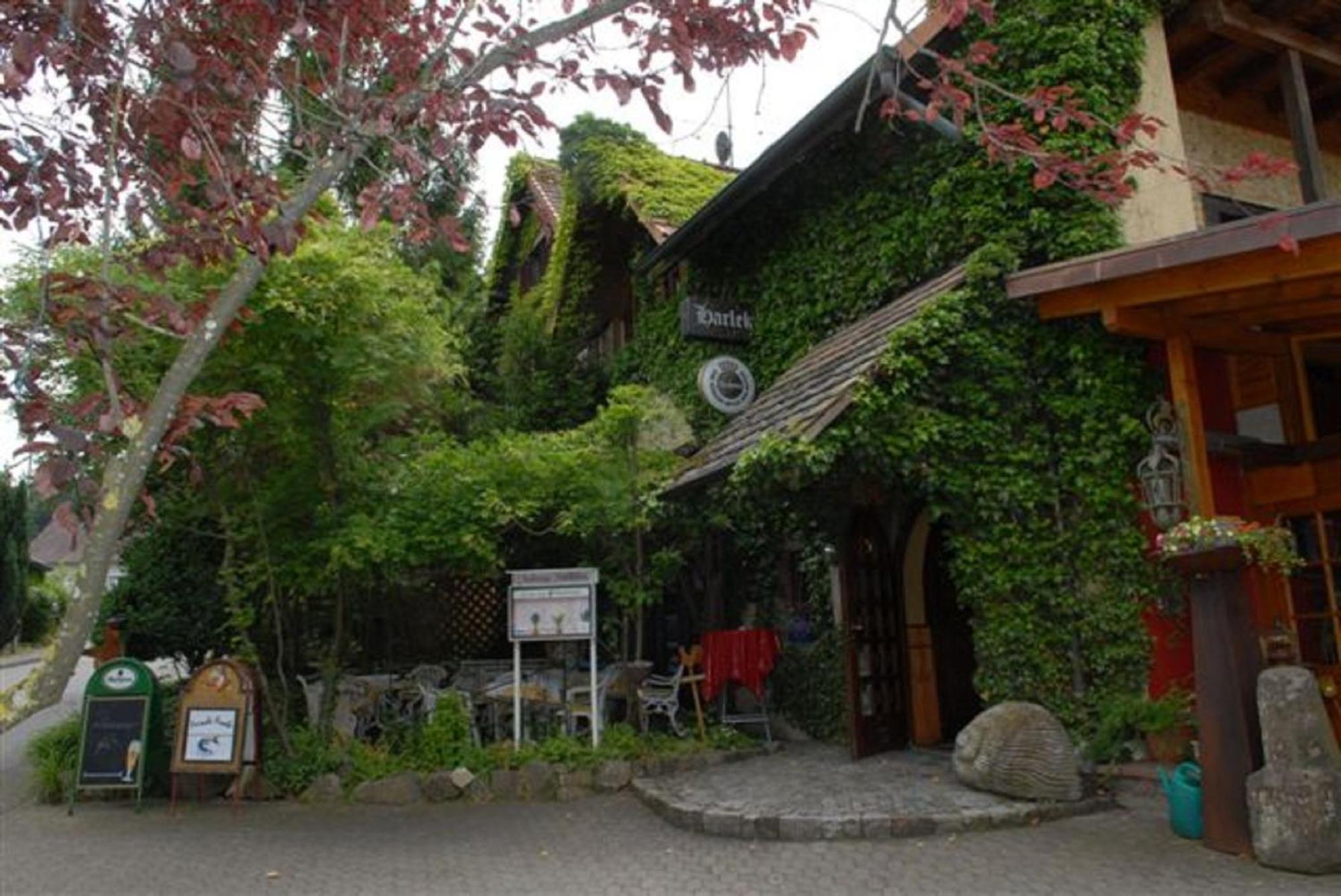 Alte Schreinerei-Auberge Harlekin Randegg エクステリア 写真
