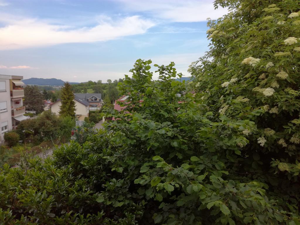Alte Schreinerei-Auberge Harlekin Randegg エクステリア 写真